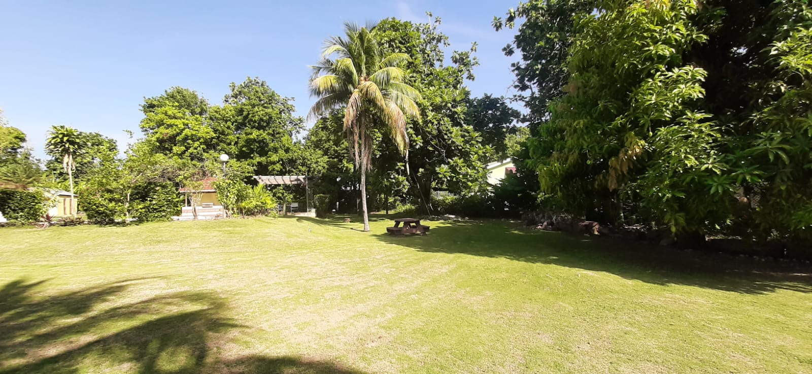 Expansive lawn